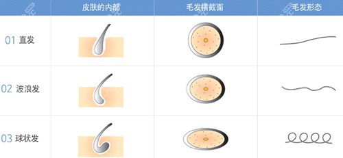 <!--<i data=20240705-sp></i>-->植发医院细节展示