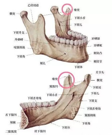 韩国迪美整形面部轮廓图解