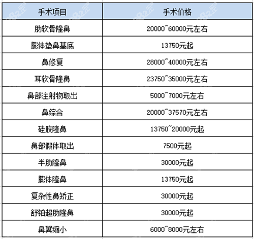 鼻部整形价目表