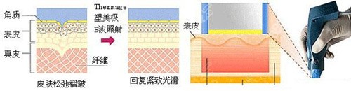 熱瑪吉原理 熱瑪吉原理