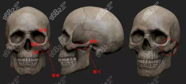 上海颧骨内推有名的医生名单