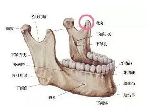 颧骨内推的要求