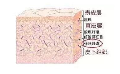 无痕水剥离拉皮作用层次