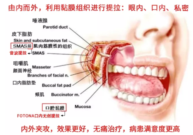 欧洲之星皮肤治疗程度