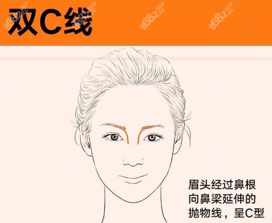 眉間雙C線