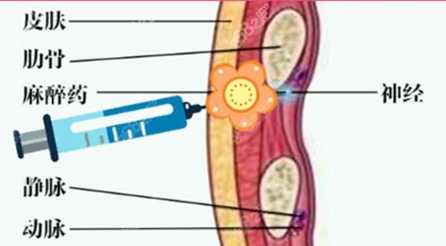 <!--<i data=20240705-sp></i>-->紫馨深I小巨蛋隆胸技术优势