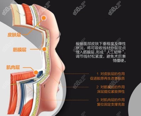 成都哪里做拉皮手術(shù)好