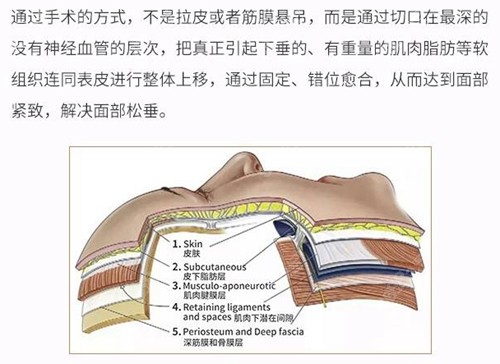 北京加减美V3、V6、V9针对的人群不同