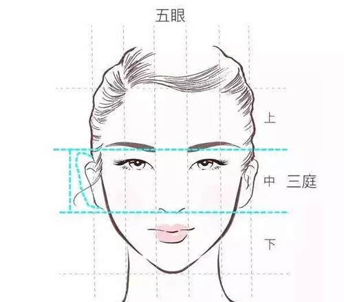 精靈耳和普通耳朵的對(duì)比圖
