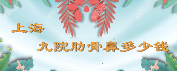 肋骨鼻价格多少钱