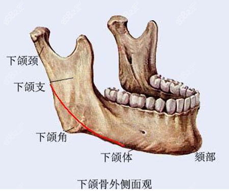 下颌骨外侧情况照片