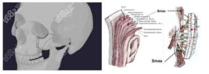 上海顴骨內(nèi)推價(jià)格