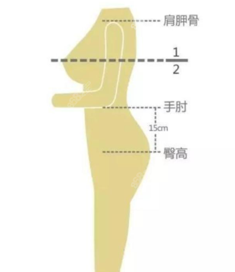 东方女性形体塑形黄金比例