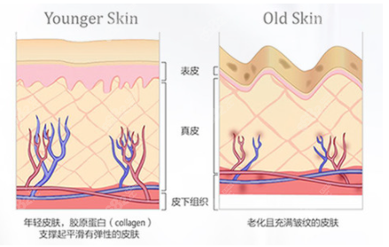 <!--<i data=20240705-sp></i>-->医学美容医院面部提升