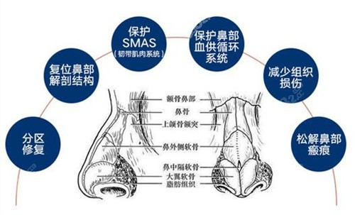 李萍鼻修复技术