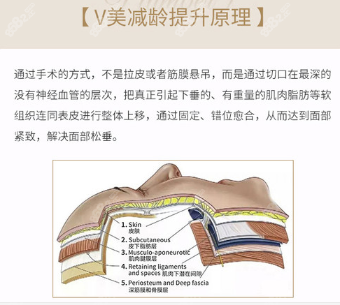 北京加减美穆宝安  v美减龄提升原理