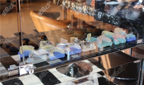 牙齿模型展示