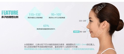 韓國珠兒麗鼻修復(fù)怎么樣