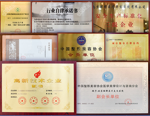 北京丽都医疗美容医院荣誉证书