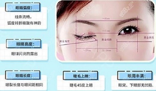 西安美莱刘晓荣双眼皮美学设计