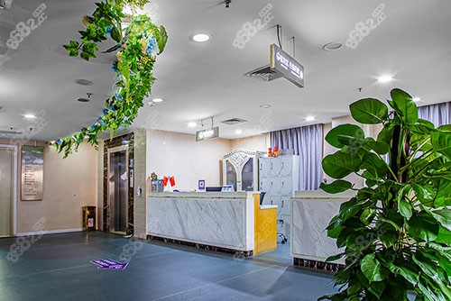 东莞美立方植发科照片