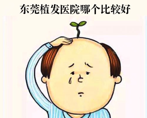 东莞植发医院哪个比较好