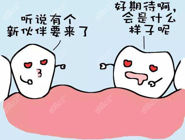5000-8000元的的种植牙能用几年