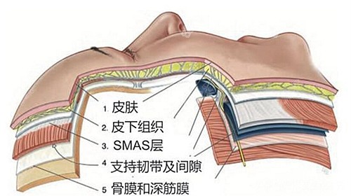 冯立哲的多维拉面部提升能维持多久