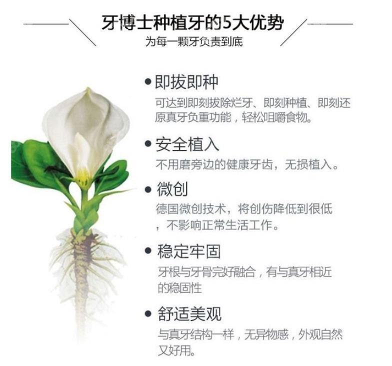 <!--<i data=20240705-sp></i>-->种植牙的5大优势