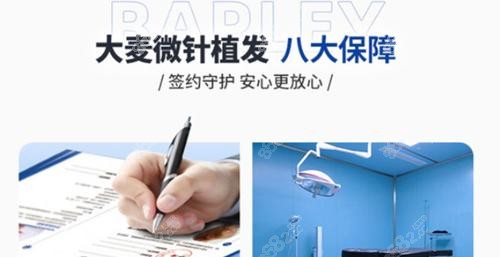 成都大麦微针植发