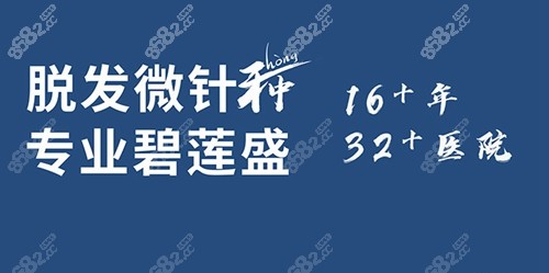 碧莲盛植发实力强