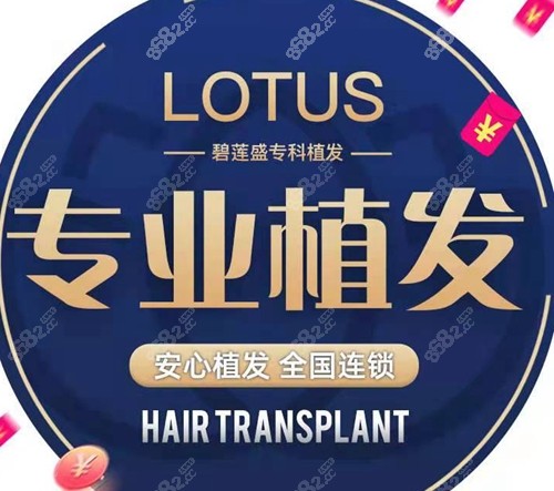 碧莲盛植发优势