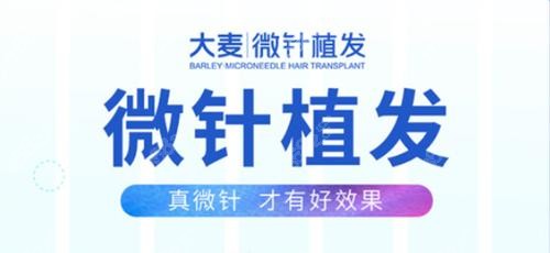 广州大麦微针植发
