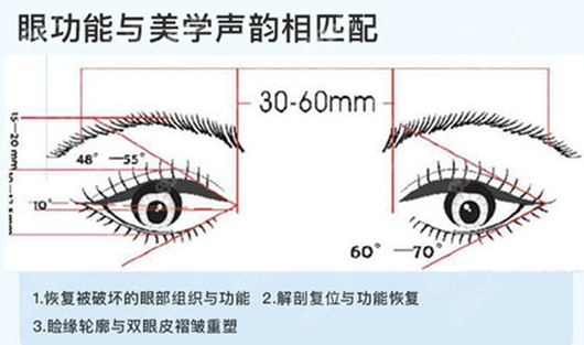 北京王维双眼皮修复标准