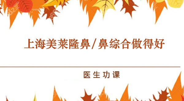 上海美莱哪个医生鼻子做得好