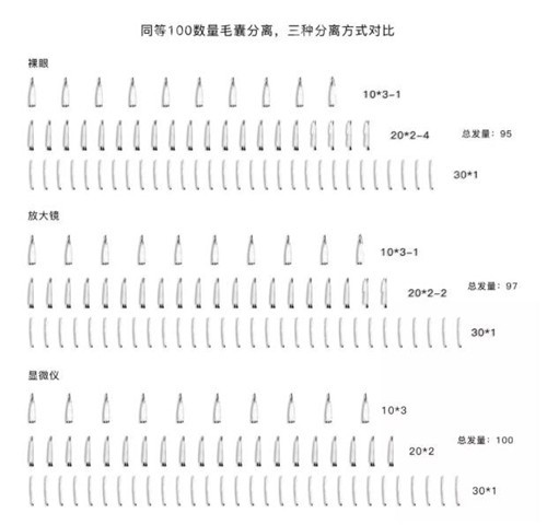 3000毛囊单位不同技术下的对比