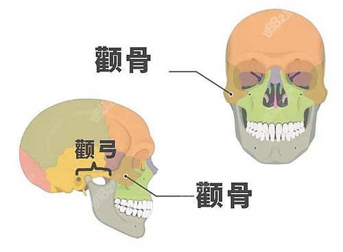 <!--<i data=20240705-sp></i>-->磨骨的价格