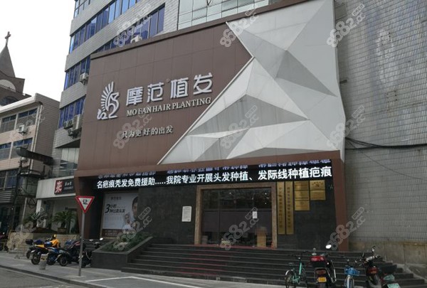 <!--<i data=20240705-sp></i>-->有比较好的植发医生 <!--<i data=20240705-sp></i>-->有比较好的植发医生