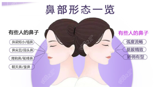 重庆隆鼻名医汇总