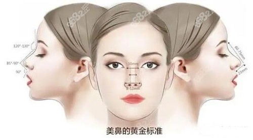 李炳浍隆鼻图