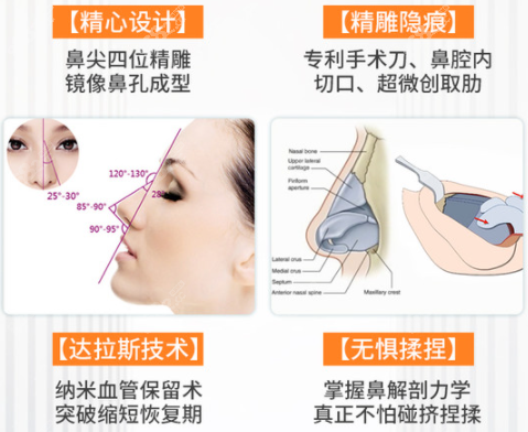 重庆军美金字塔生态肋骨鼻的优势