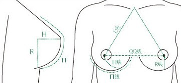 东莞华美的自体活细胞脂肪丰胸术依据一定的美胸标准