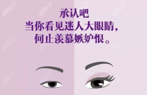 双眼皮和单眼皮对比图片