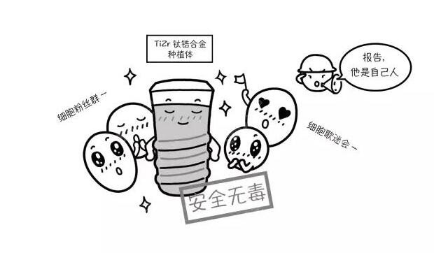 种植体和细胞的结合性
