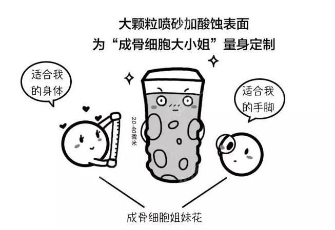 细胞附着在种植体上