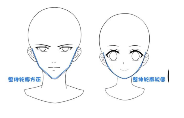 面部轮廓感示意图