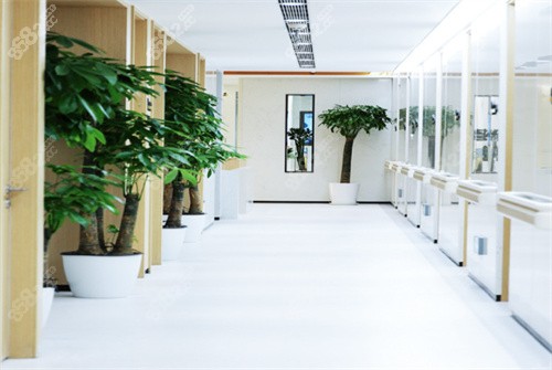 北京美冠塔口腔过道