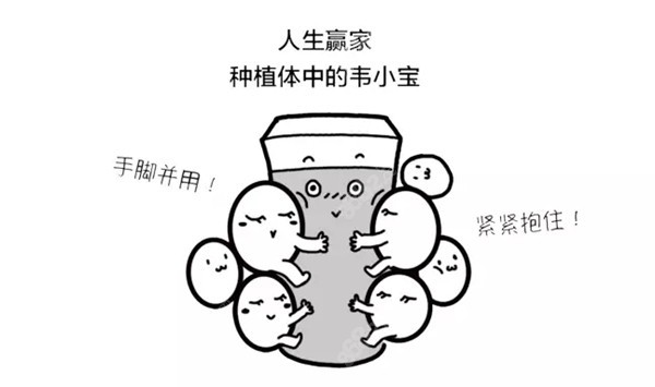 瑞士iti瑞锆亲水种植牙的优势