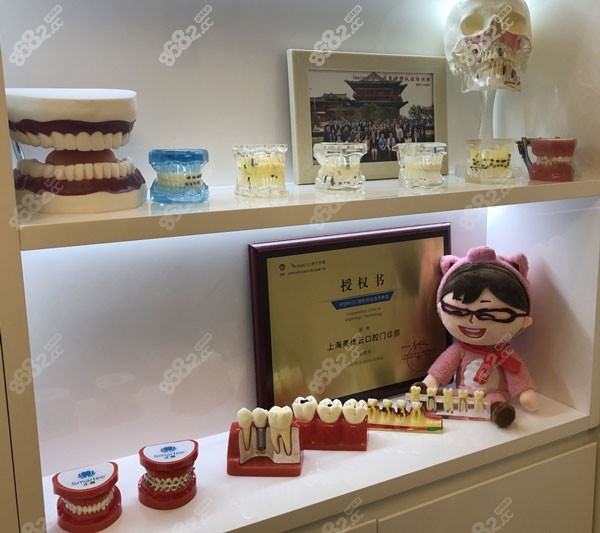 维乐口腔展示牙模型