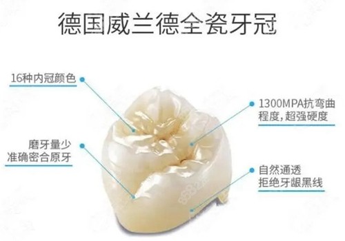 德国威兰德全瓷冠